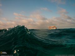 Tapeta National Geographic 355.jpg